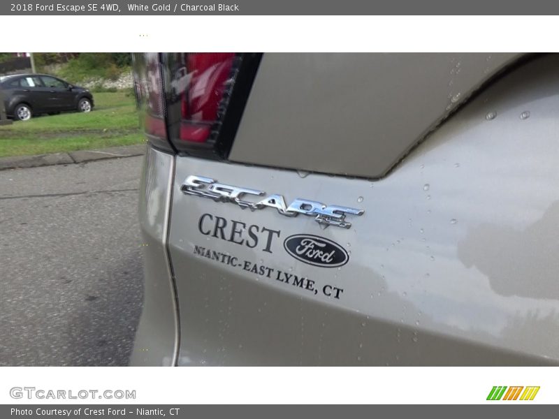 White Gold / Charcoal Black 2018 Ford Escape SE 4WD