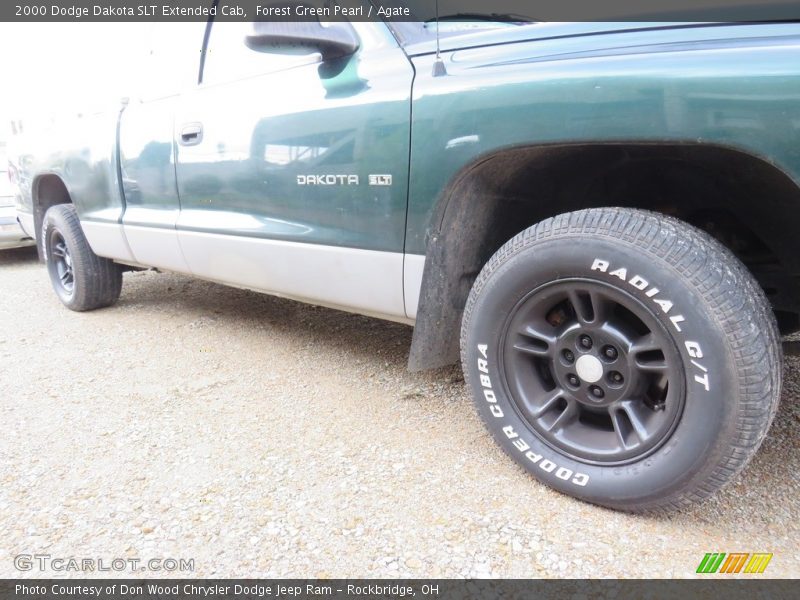 Forest Green Pearl / Agate 2000 Dodge Dakota SLT Extended Cab