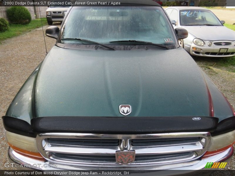 Forest Green Pearl / Agate 2000 Dodge Dakota SLT Extended Cab