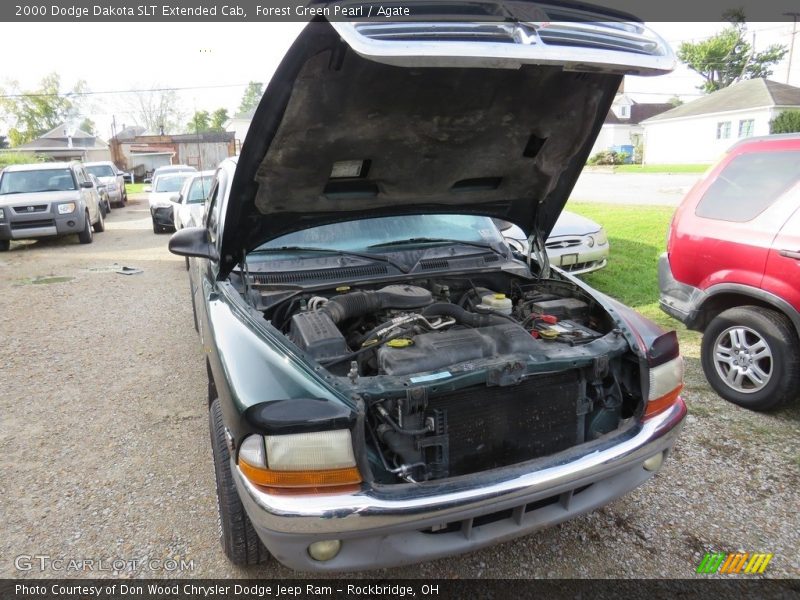 Forest Green Pearl / Agate 2000 Dodge Dakota SLT Extended Cab