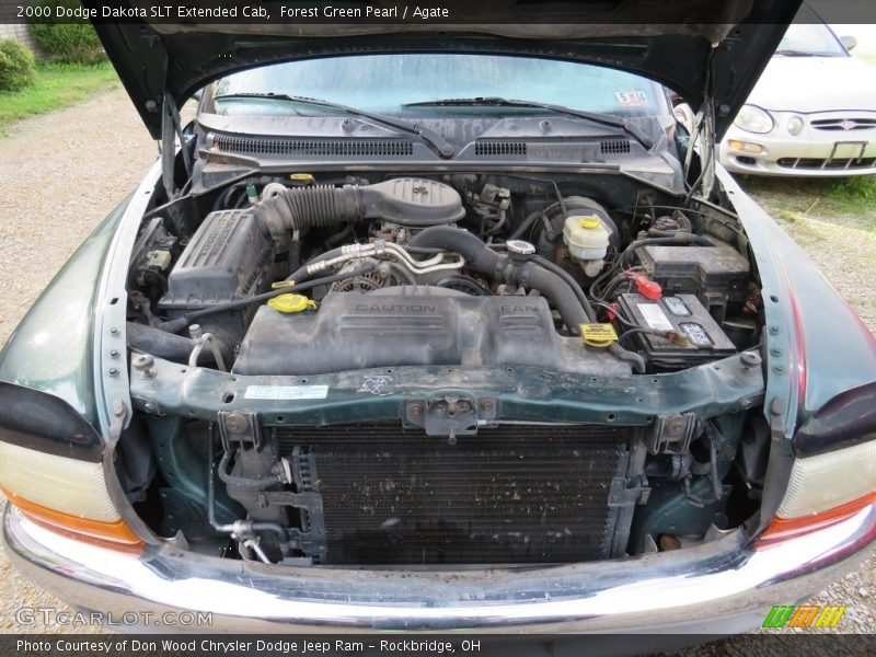 Forest Green Pearl / Agate 2000 Dodge Dakota SLT Extended Cab