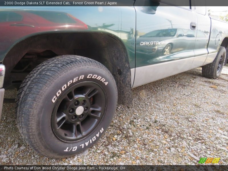 Forest Green Pearl / Agate 2000 Dodge Dakota SLT Extended Cab