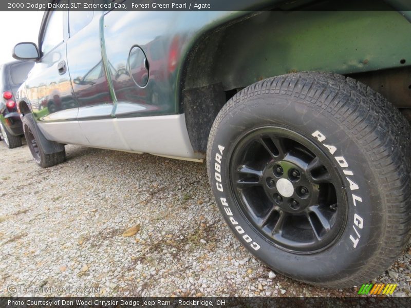 Forest Green Pearl / Agate 2000 Dodge Dakota SLT Extended Cab