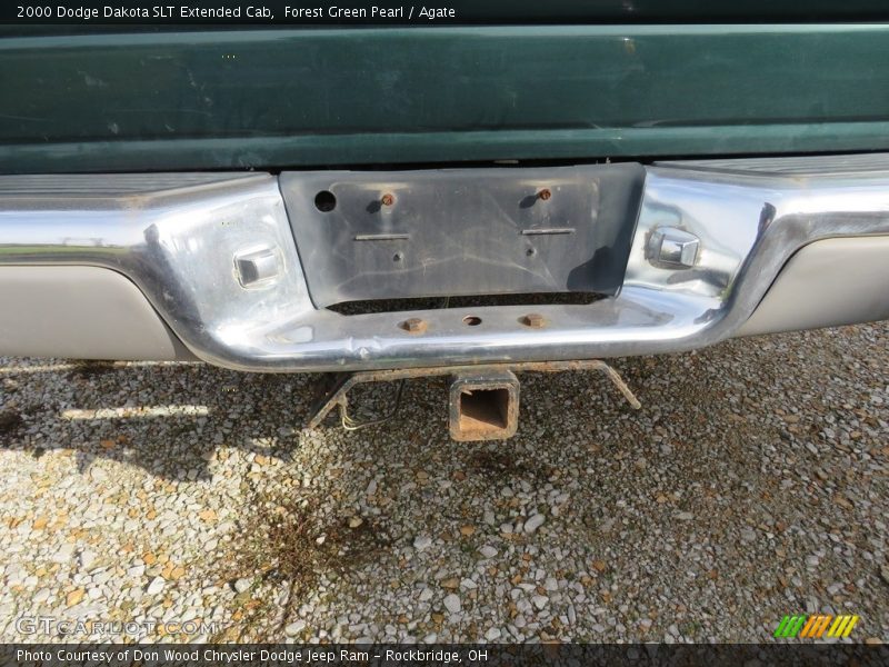 Forest Green Pearl / Agate 2000 Dodge Dakota SLT Extended Cab
