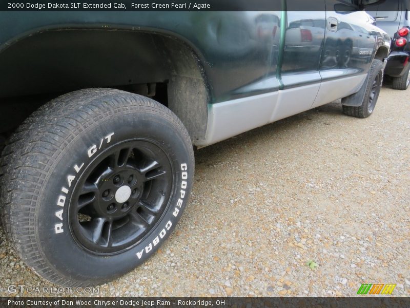 Forest Green Pearl / Agate 2000 Dodge Dakota SLT Extended Cab