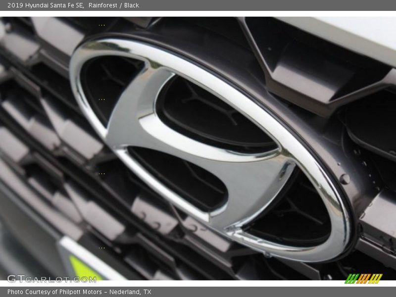 Rainforest / Black 2019 Hyundai Santa Fe SE