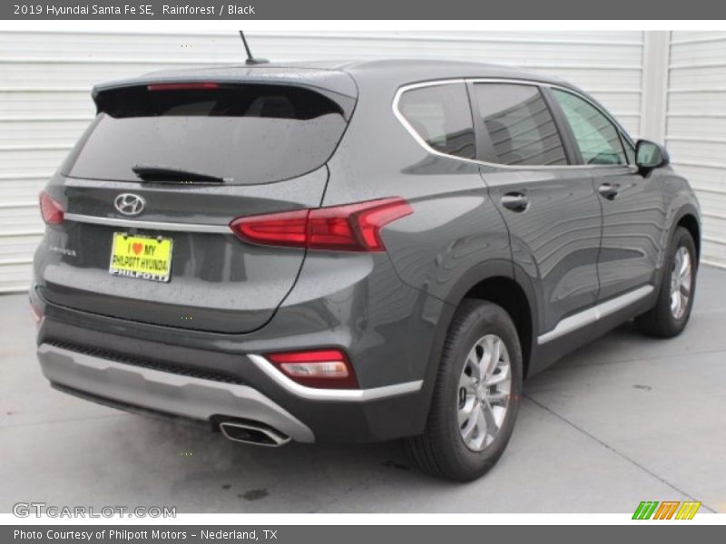 Rainforest / Black 2019 Hyundai Santa Fe SE
