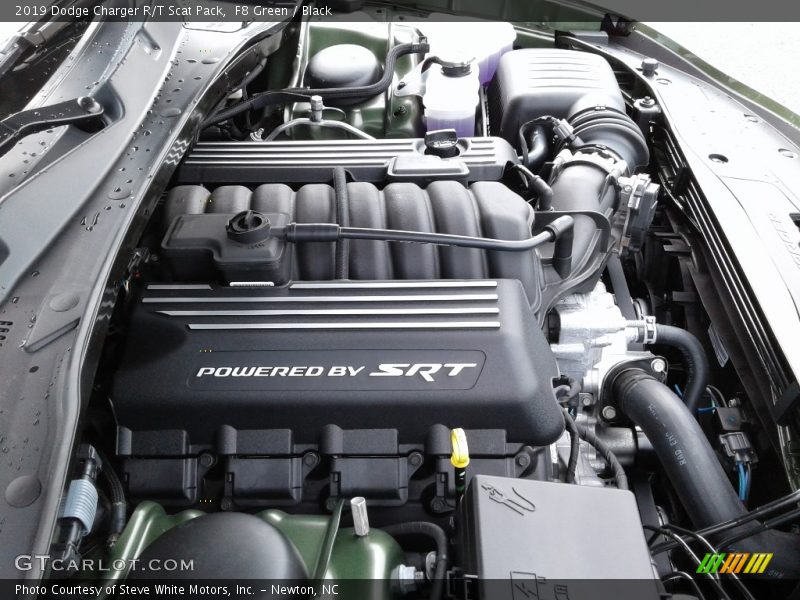 F8 Green / Black 2019 Dodge Charger R/T Scat Pack