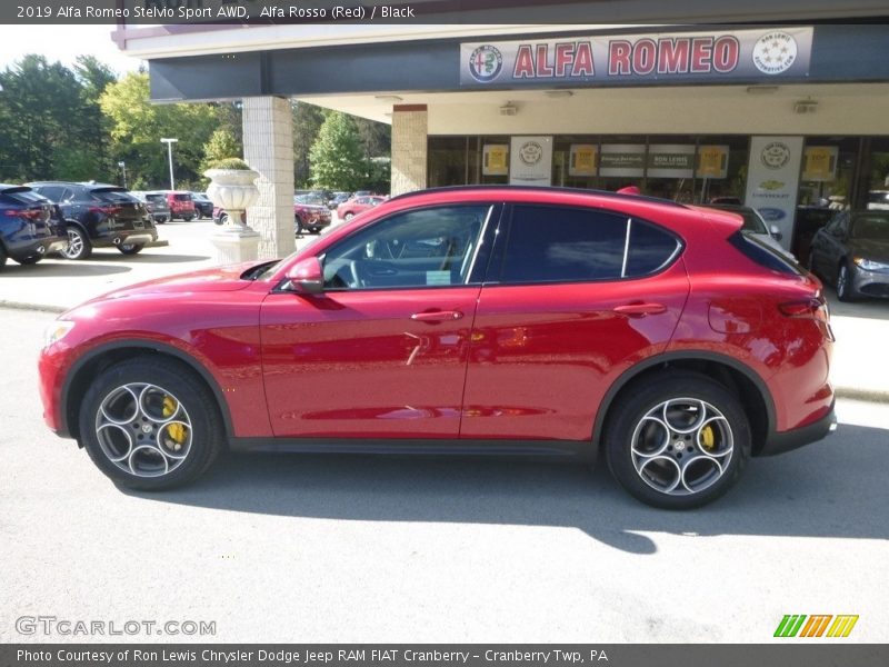Alfa Rosso (Red) / Black 2019 Alfa Romeo Stelvio Sport AWD