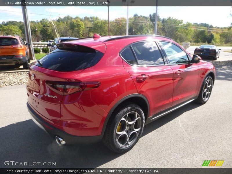 Alfa Rosso (Red) / Black 2019 Alfa Romeo Stelvio Sport AWD