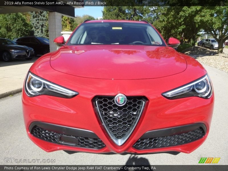 Alfa Rosso (Red) / Black 2019 Alfa Romeo Stelvio Sport AWD