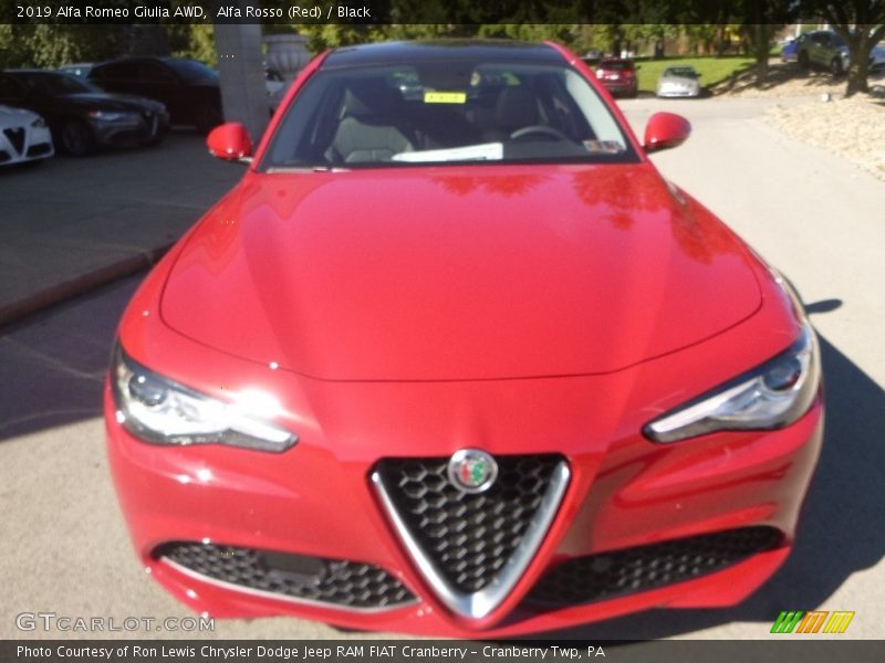 Alfa Rosso (Red) / Black 2019 Alfa Romeo Giulia AWD