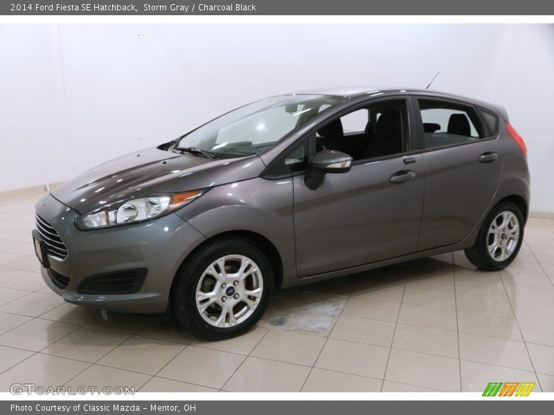 Storm Gray / Charcoal Black 2014 Ford Fiesta SE Hatchback