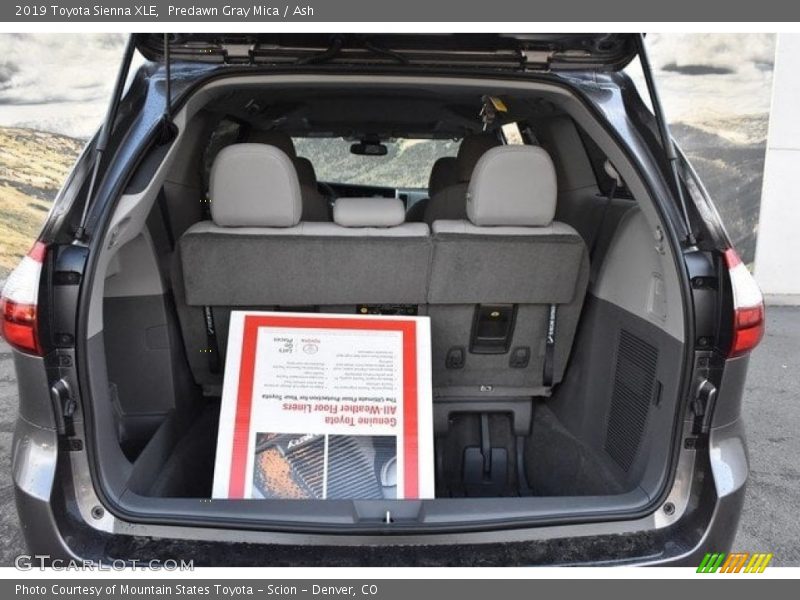 Predawn Gray Mica / Ash 2019 Toyota Sienna XLE