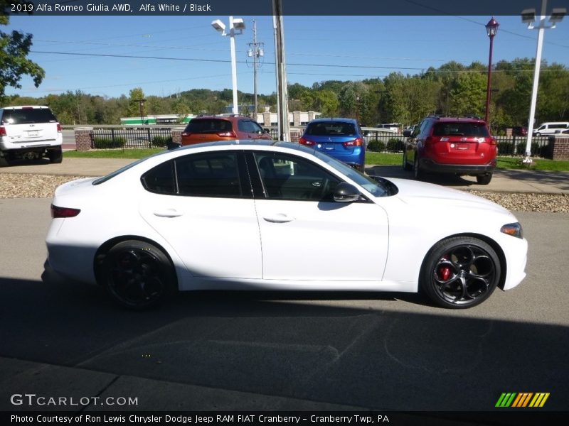 Alfa White / Black 2019 Alfa Romeo Giulia AWD