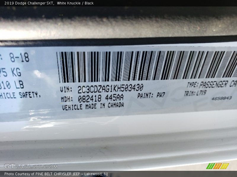 White Knuckle / Black 2019 Dodge Challenger SXT