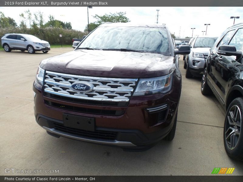 Burgundy Velvet / Medium Black 2019 Ford Explorer XLT