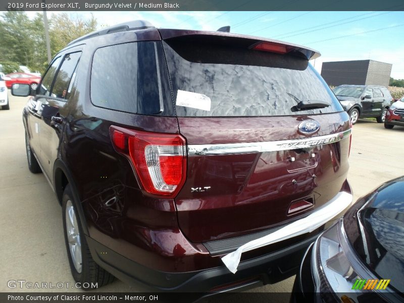 Burgundy Velvet / Medium Black 2019 Ford Explorer XLT