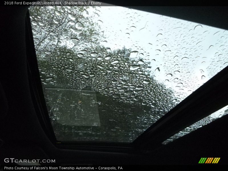 Shadow Black / Ebony 2018 Ford Expedition Limited 4x4