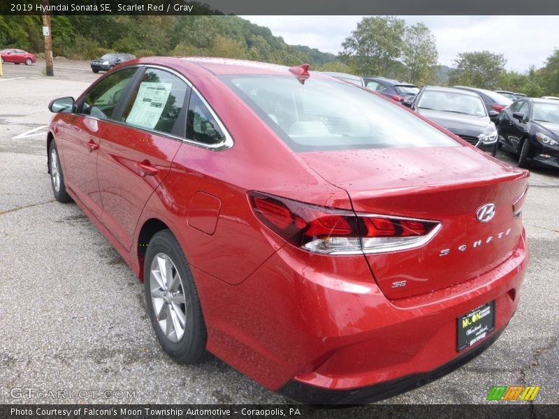 Scarlet Red / Gray 2019 Hyundai Sonata SE