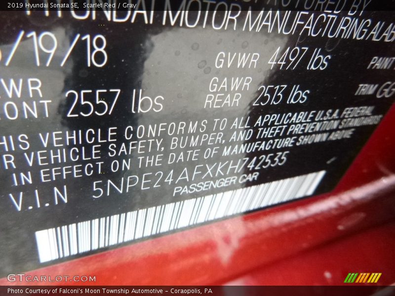 Scarlet Red / Gray 2019 Hyundai Sonata SE