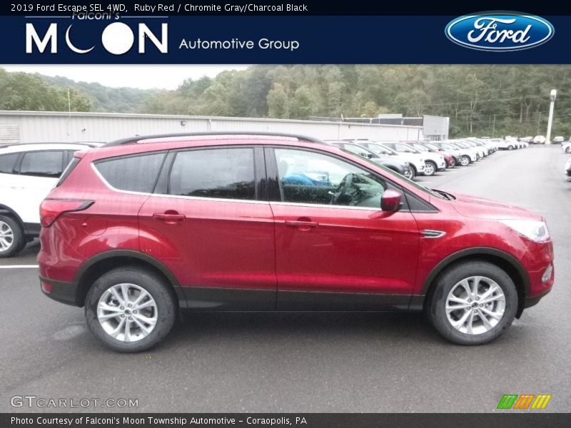 Ruby Red / Chromite Gray/Charcoal Black 2019 Ford Escape SEL 4WD