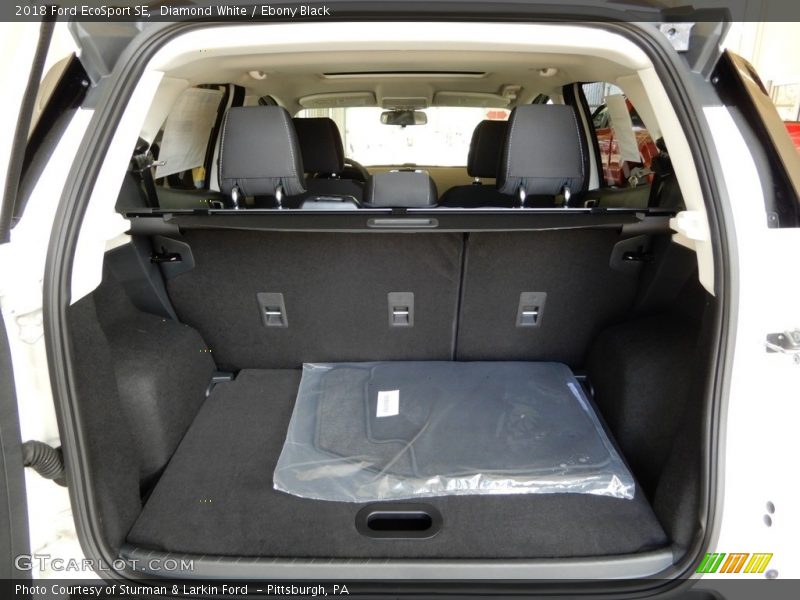 Diamond White / Ebony Black 2018 Ford EcoSport SE
