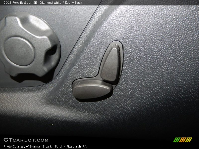 Diamond White / Ebony Black 2018 Ford EcoSport SE