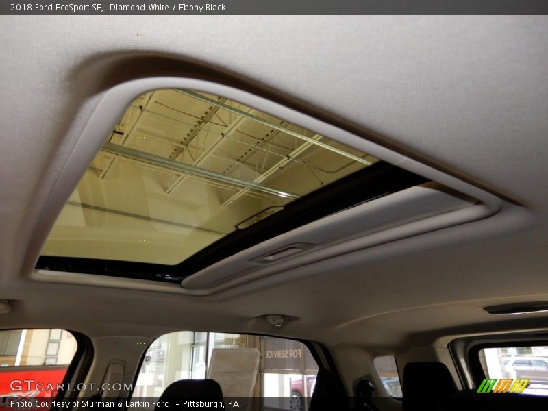 Diamond White / Ebony Black 2018 Ford EcoSport SE