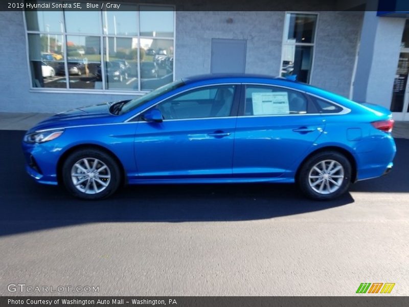 Blue / Gray 2019 Hyundai Sonata SE