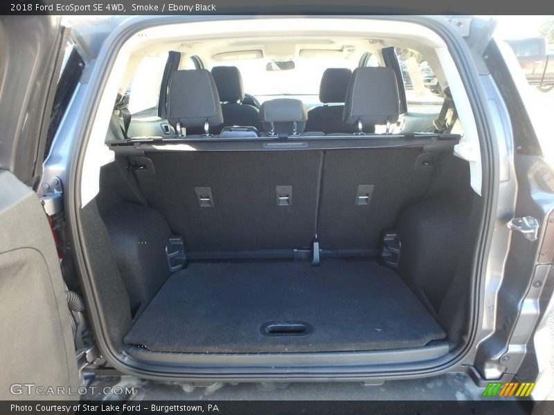 Smoke / Ebony Black 2018 Ford EcoSport SE 4WD