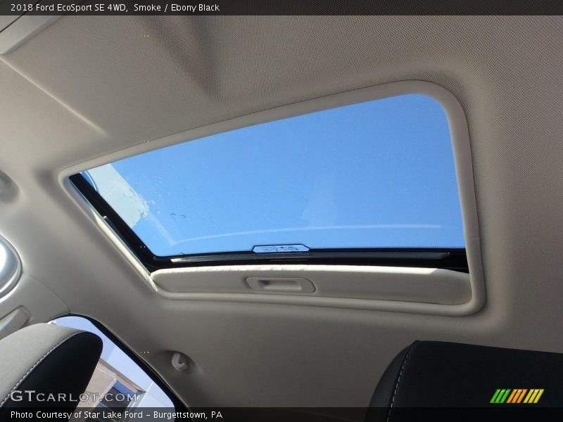 Smoke / Ebony Black 2018 Ford EcoSport SE 4WD