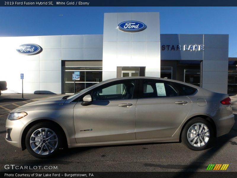 White Gold / Ebony 2019 Ford Fusion Hybrid SE