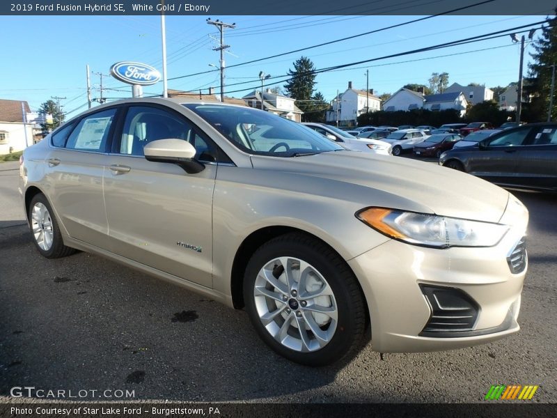 White Gold / Ebony 2019 Ford Fusion Hybrid SE