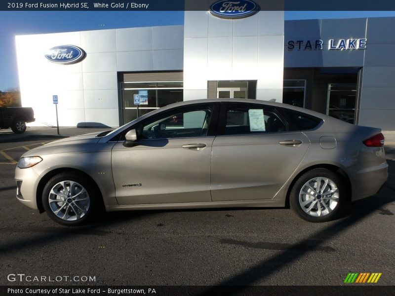White Gold / Ebony 2019 Ford Fusion Hybrid SE