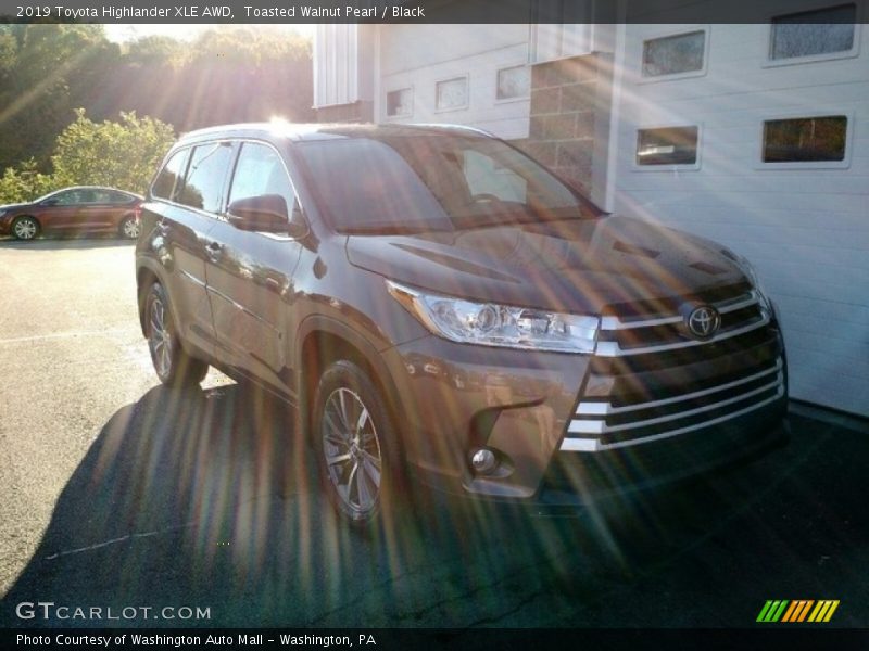 Toasted Walnut Pearl / Black 2019 Toyota Highlander XLE AWD