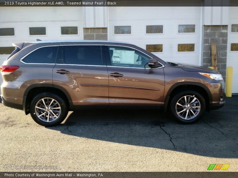  2019 Highlander XLE AWD Toasted Walnut Pearl