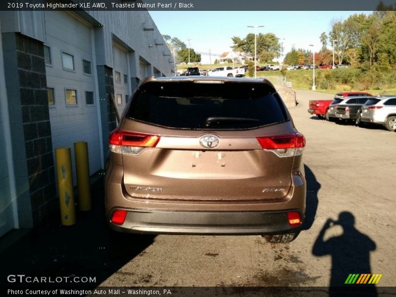 Toasted Walnut Pearl / Black 2019 Toyota Highlander XLE AWD