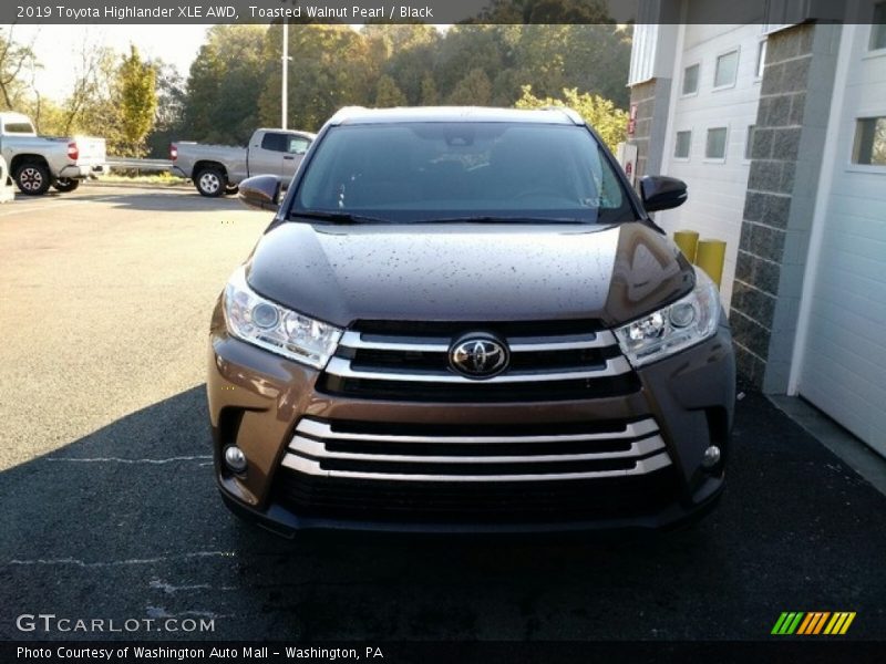 Toasted Walnut Pearl / Black 2019 Toyota Highlander XLE AWD