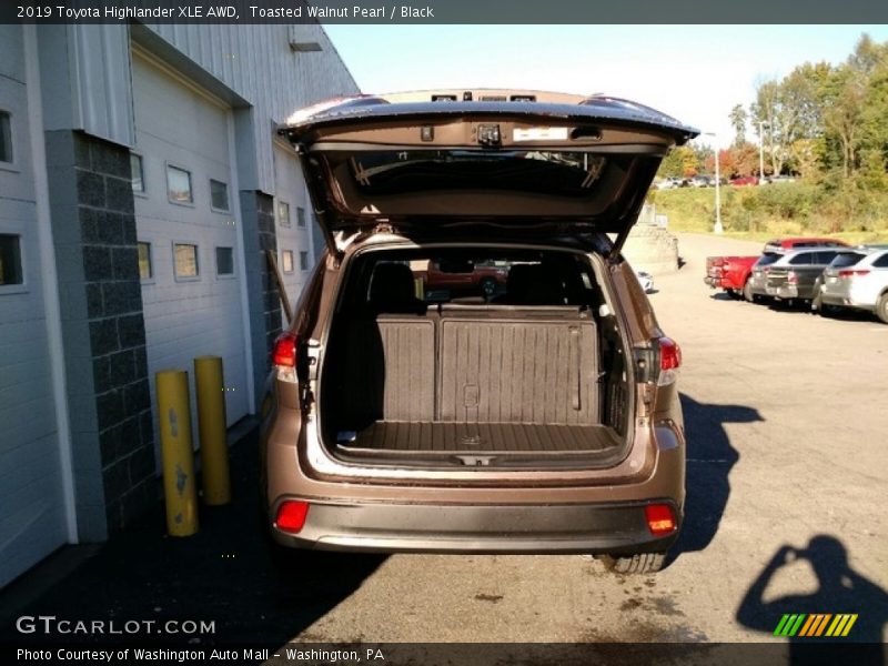 Toasted Walnut Pearl / Black 2019 Toyota Highlander XLE AWD