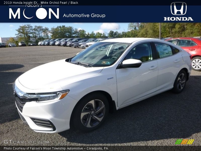 White Orchid Pearl / Black 2019 Honda Insight EX