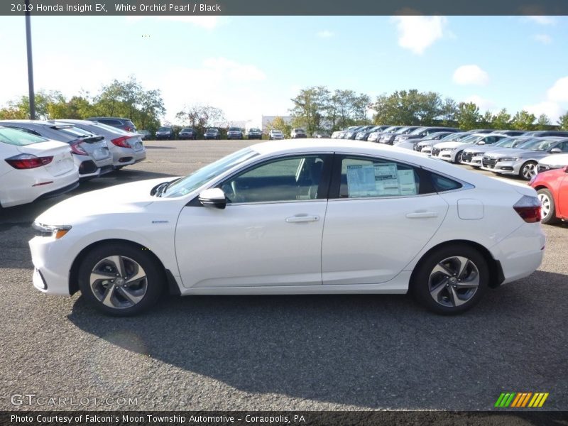 White Orchid Pearl / Black 2019 Honda Insight EX
