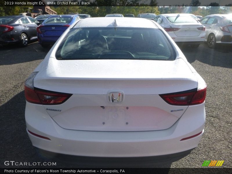 White Orchid Pearl / Black 2019 Honda Insight EX