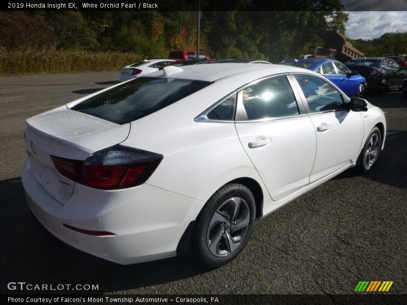 White Orchid Pearl / Black 2019 Honda Insight EX