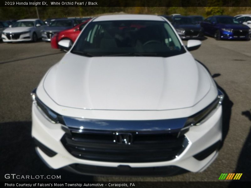 White Orchid Pearl / Black 2019 Honda Insight EX