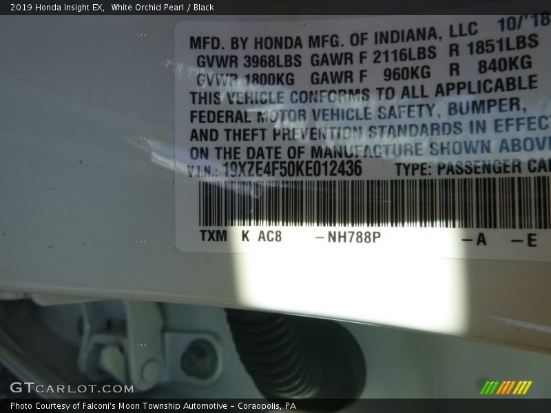 White Orchid Pearl / Black 2019 Honda Insight EX