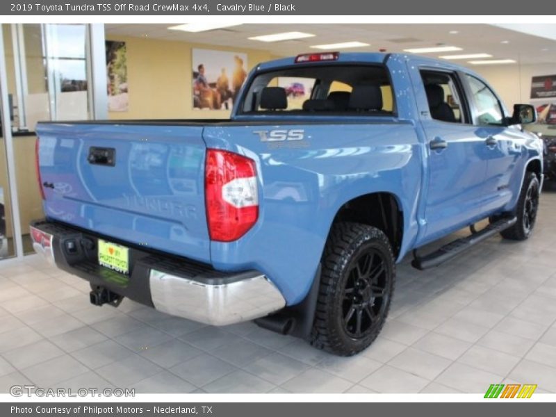 Cavalry Blue / Black 2019 Toyota Tundra TSS Off Road CrewMax 4x4