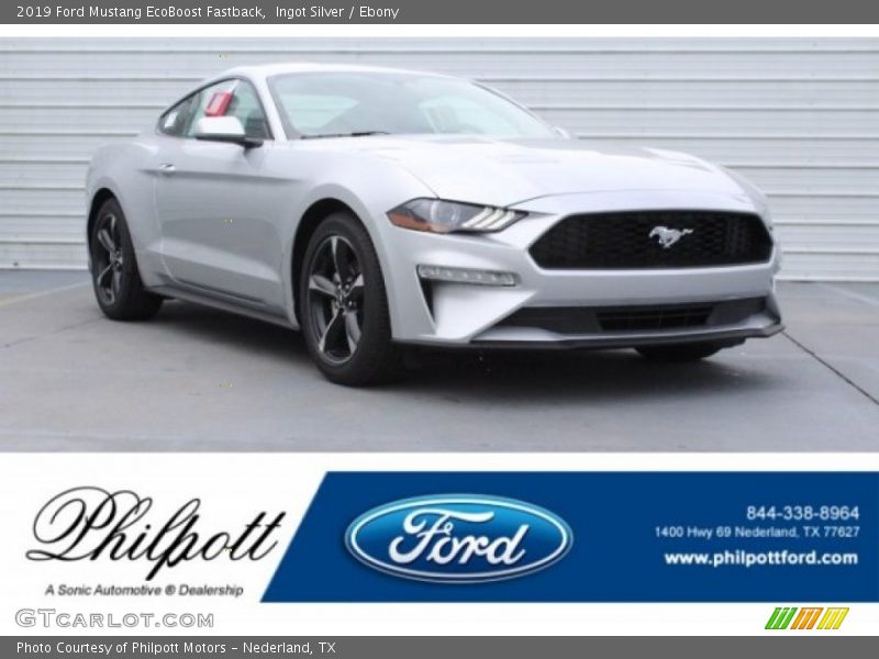 Ingot Silver / Ebony 2019 Ford Mustang EcoBoost Fastback
