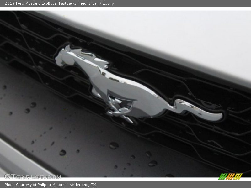 Ingot Silver / Ebony 2019 Ford Mustang EcoBoost Fastback