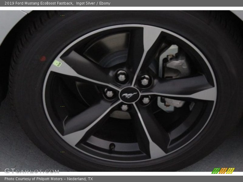 Ingot Silver / Ebony 2019 Ford Mustang EcoBoost Fastback